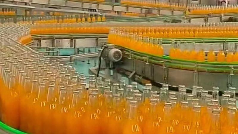小型果蔬加工设备选购：如何避免价格陷阱
